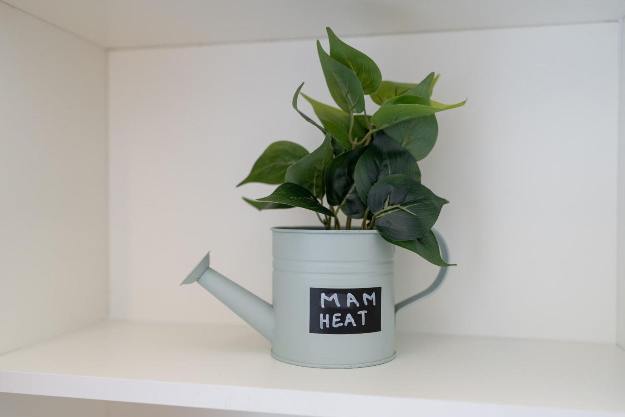 Mam Heat Apartments - Viana City Centre Viana do Castelo Buitenkant foto